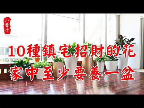 煙花風水|煙花風水：招桃花妙招